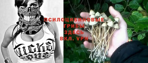 a pvp Армянск