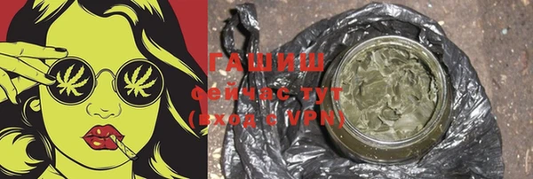 индика Покачи