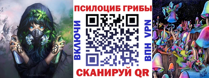 ОМГ ОМГ ссылка  где найти   Таштагол  Псилоцибиновые грибы ЛСД 